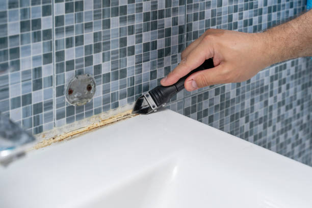 Trusted Myrtle Beach, SC Mold Removal Experts